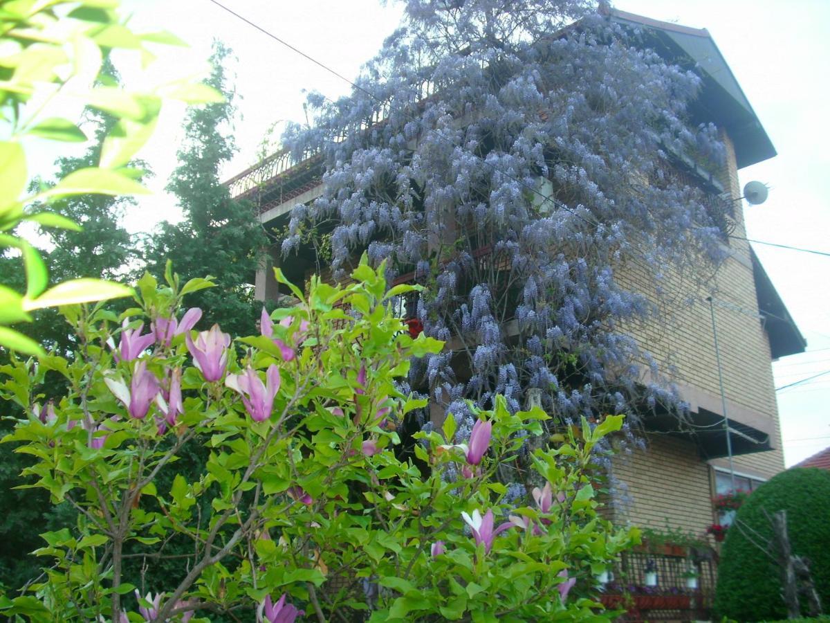 Apartman Wisteria รานเย ภายนอก รูปภาพ